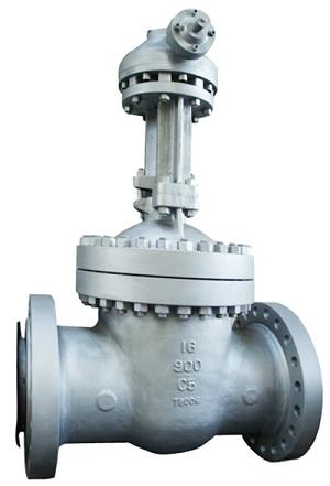 cast  steel gate valve.jpg