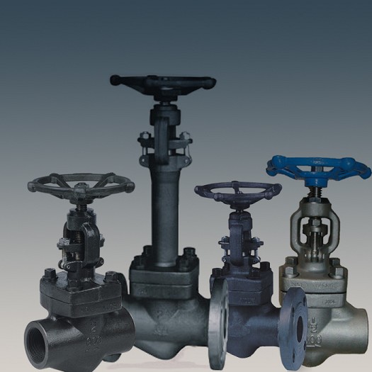 forged globe valve.jpg forged globe valve.jpg