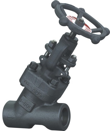 forged y globe valve.jpg