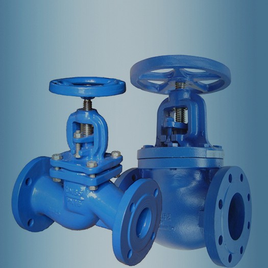 cast iron globe valve.jpg